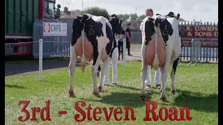 Holstein PairsDumfries Show 2024Next video Baileys Champion cow [upl. by Notnil978]