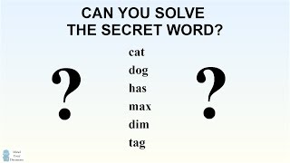 How To Solve The Secret Word Logic Puzzle [upl. by Ahsaeym]