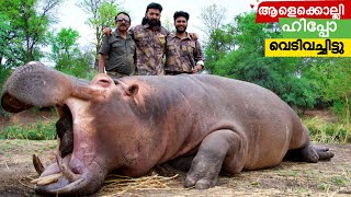 ആളെക്കൊല്ലി ഹിപ്പോ വെടിവച്ചിട്ടുHippo huntZimbabwe Biggest HippoBest huntingHippopotamus hunt [upl. by Tuckie]