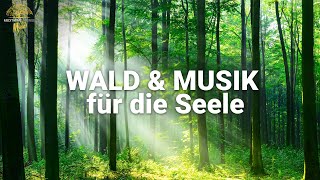 Entspannende Musik erhöht sofort Deine Zufriedenheit  Stressabbau Einschlafmusik Naturgeräusche [upl. by Neumeyer]