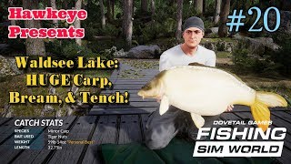 Fishing Sim World  20  Waldsee Lake HUGE Carp Bream amp Tench [upl. by Cattan929]