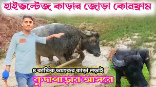 কুদাগাড়া আসছে টাইগার কাড়া এই বার খেলা হবে। জোড়া হয়ার পর রাগ মাথাই চাপে গেছে মানবেক নাই [upl. by Lodmilla]