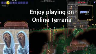 Terraria server survival [upl. by Neehahs910]