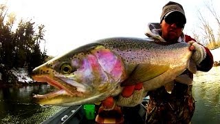 Steelhead Fishing Michigan [upl. by Jecho]