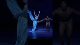 Houston Ballet  The Little Mermaid  Prince and The Little Mermaid [upl. by Ayota]