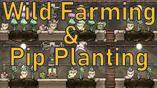 Oxygen Not Included  Tutorial Bites  Wild Farming amp Pip Planting [upl. by Odama]