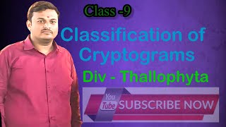 Class9thClassification of plantsDivThallophyta [upl. by Aw]