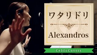 【癒し系】ワタリドリ  Alexandros フルVer Cover [upl. by Attevad798]