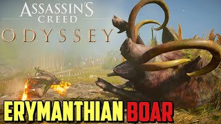 How to Defeat Erymanthian Boar in Assassin’s Creed Odyssey [upl. by Nickerson]