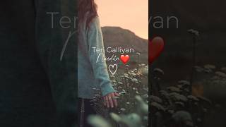 Teri Galiyan Extended Lyrics  Vahaj Hanif [upl. by Dubois]