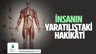 İNSANIN YARATILIŞTAKİ HAKİKÂTİ [upl. by Anaujit]