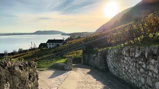 The Sun the vineyard and the Lake of Biel in Switzerland [upl. by Titus]