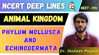 L10 Phylum Mollusca and Echinodermata  Animal Kingdom  11th  NEET  Dr Shaheen Sir [upl. by Taam]