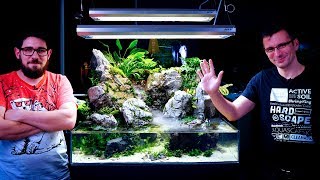 PLANTING OUR PALUDARIUM  THE RAINFOREST IS READY WITH THE WATERFALL [upl. by Syxela420]