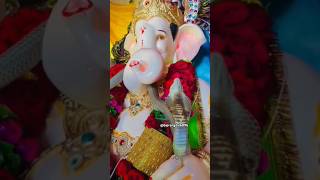 Ganpati bappa moriya 🙏🏻youtube youtubeshorts satyasanatan ganeshpuja hindudharma viralshorts [upl. by Gnoh646]