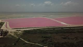 Las Coloradas Yucatán [upl. by Oribel]