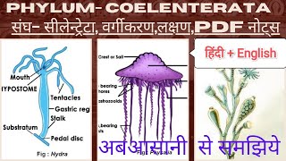 PHYLUM COELENTERATA CNIDARIA संघ सीलेन्टरेटा GENERAL CHARACTERS amp CLASSIFICATION [upl. by Stalder]