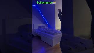 Wie verschiedene Sportarten ins Bett gehen 🛏️￼￼sports [upl. by Lytsyrk]