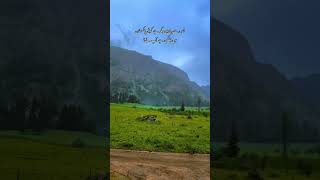 Domel Minimerg Astore Valley Gilgit Baltistan 🥰 viralshort travel ahmadnawab007 mountains [upl. by Yanffit]