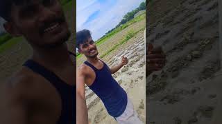 jindabad jawani jindabad kisani khet ropte samay mini vlogs [upl. by Rabi]