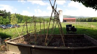 Raised Garden Box with Bamboo Trellis [upl. by Esej]