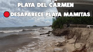 PLAYA DEL CARMEN SE ESTA QUEDANDO SIN PLAYA  12 JUNIO 2024 [upl. by Folly681]