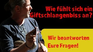 Wie fühlt sich ein GIFTSCHLANGENBISS an Wir beantworten EURE Fragen zum Thema GIFTIGE SCHLANGEN [upl. by Koppel]