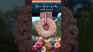 Brians Birdseed Wreaths  Sold on Amazon [upl. by Domini]