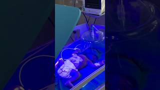 Newborn Under Phototherapy For Jaundice👶 niculife cutebaby newbornbaby babycare [upl. by Anemij]