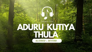 Anduru Kutiya Thula Slowed  Reverb   T M Jayarathna [upl. by Ronen]