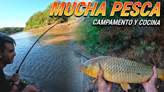 🤠 PESCA en Rio Caracaña Mucha pesca de carpas  Campamento y Cocina [upl. by Eilyak478]