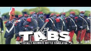 The FrancoPrussian War Totally accurate battle simulator [upl. by Hawk183]