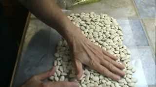 How to Cook Lima Beans [upl. by Huei]