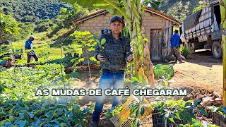 CHEGADA DAS MUDAS PARA PLANTIO DO CAFÉ CONILON [upl. by Einatsed]