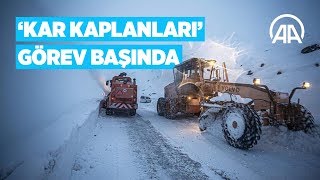 Dağlar kar kaplanları sayesinde aşılıyor [upl. by Molloy]