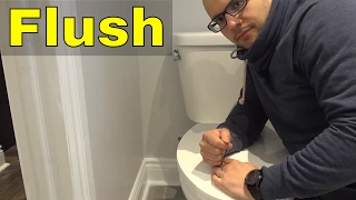 How To Flush A Toilet PROPERLYEasy Tutorial [upl. by Akoek]