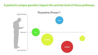 How does the GeneSight Psychotropic test work Watch this overview [upl. by Martel]