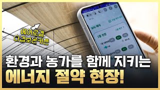 황금나침반 환경도 지키고 농가도 살리는 에너지 절약 현장 속으로  YTN 사이언스 [upl. by Bobette]