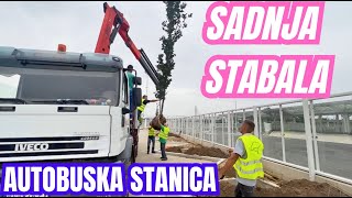 SADNJA HOLANDSKOG BRESTA NA GLAVNOJ AUTOBUSKOJ STANICI [upl. by Claude48]