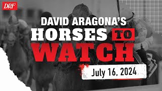 Horses to Watch  July 16 2024 [upl. by Eisenhart]