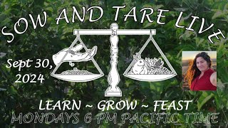 Sow and Tare Live Chat Mondays 6 PM PST September 30 2024 [upl. by Ulrika216]