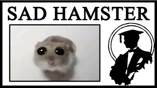 Why Is The Sad Hamster So Sad [upl. by Llirred]