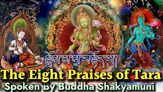 ☸️Powerful Tara Chanting Dolma Prayer Spoken By Sakyamuni Buddha སྒྲོལ་མडोल्मा॥ 塔拉 [upl. by Milburr]