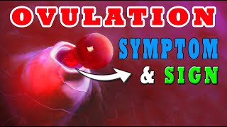 Ovulation Symptoms How To Know When You Are Ovulating 🥚 SIGNS EXPLAINED⚠️ [upl. by Morette]