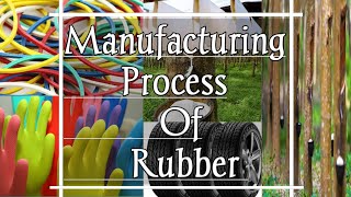 Rubber making process know about rubber production [upl. by Etta]