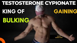 testosterone Cypionate Cycle  beginner steroid cycle  Gaining Cycle  bulking cycle [upl. by Jaco955]