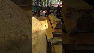 bandsawmill sawblade woodfactory woodworking woodprocessing skilledworkers woodcarving work [upl. by Denison]