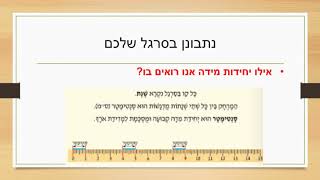 מפגש בזום בנושא מדידות אורך [upl. by Ericha]