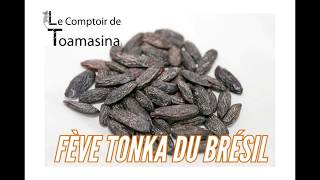 Fève Tonka à Pâtisserie du Brésil Amazonie Parà Achat vente recette goût direct producteur [upl. by Retep166]