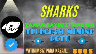 REAL SHARK  Zaman Kaybettirmeyen Mining Botu  shark realshark airdrop telegrammining bitcoin [upl. by Modnar]